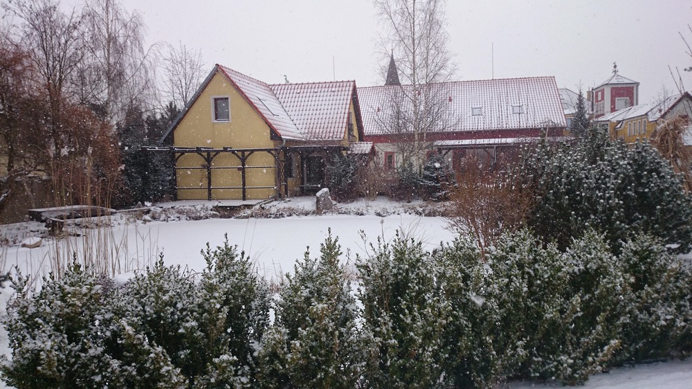 stazeno_19.12.11_413